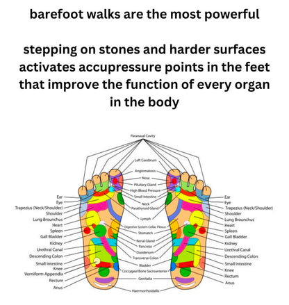 Highly Harmonious Hormones (feminine)